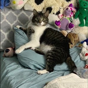 Meet your Posher, Jason